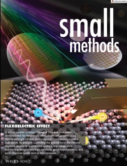 서형탁 아주대 교수의 연구 성과가 권두 표지 논문으로 게재된 저널 'Small Methods' 표지. 자료=아주대 제공