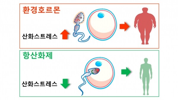 (자료: 중앙대 제공)