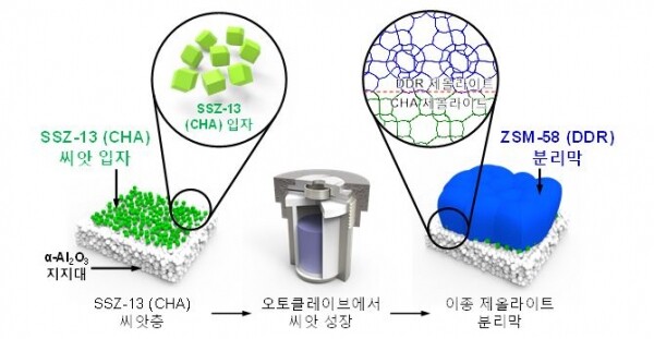 CHA 제올라이트 구조의 씨앗 입자를 이용하여 이산화탄소 분리에 효과적인 DDR 구조의 분리막을 가지는 CHA-DDR 이종(hybrid) 제올라이트 분리막을 제작하는 방법의 모식도. (사진: 고려대 제공)