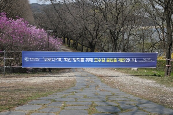 출입이 제한된 연세대 미래캠퍼스 호수꽃길 (사진: 연세대 제공)