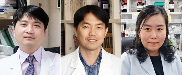 왼쪽부터 김재홍·이숭인·양지혜 교수