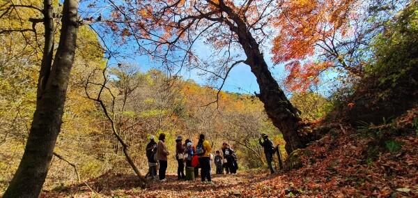 지난해 진행된 숲체험 교육 모습. 사진=강원대 제공