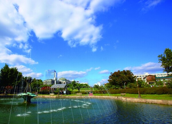 경북대 캠퍼스 전경. 사진=경북대 제공