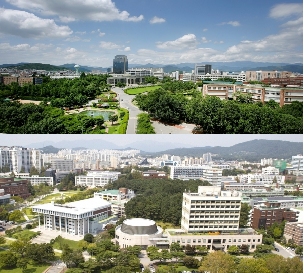 경북대(위), 전남대 캠퍼스 전경.