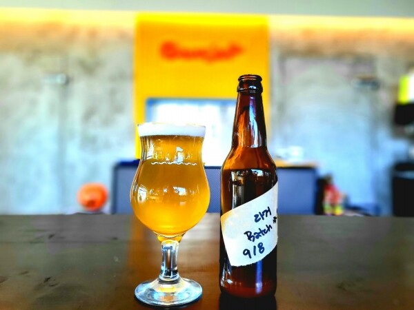 강원대 누룩연구소와 동문기업 감자아일랜드가 함께 공동 개발한 옥수수 수제맥주. 사진=강원대 제공