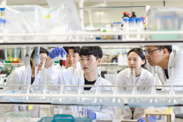 전북대는 13일 전국 4년제 대학 가운데 연구비가 11번째로 많고, 교수 1인당 연구비는 국가거점국립대 중 가장 많다고 밝혔다. 사진은 전북대 학생들의 실험실 연구 모습. 사진=전북대 제공