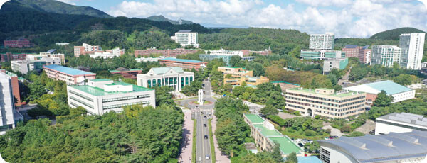 울산대 캠퍼스