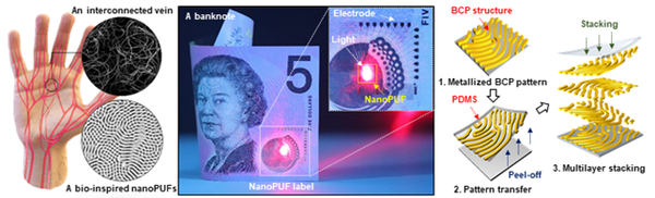 무작위 형태의 블록공중합체 자기조립 패턴을 적층해 지문 모양의 나노 패턴 형성과정을 보여주는 모식도.