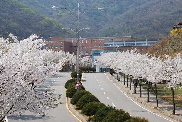 안양대 인천강화캠퍼스 산책로.