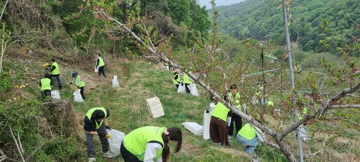 상지대 사회봉사단, 강원농협과 함께 ...