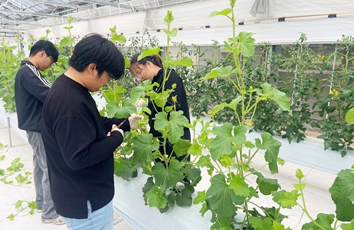 연암대, 스마트팜 채소온실 고도화