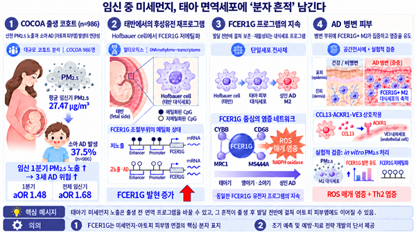 ‘임신 초기 미세먼지 노출, 태아 면...
